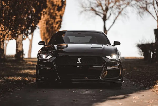 OG Kazino Android/iOS programa